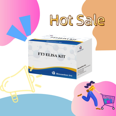 FT3 Free Triiodothyronine For Human Diagnostic Reagent Kits With 96T ELISA Test For Clinic Hospital Lab