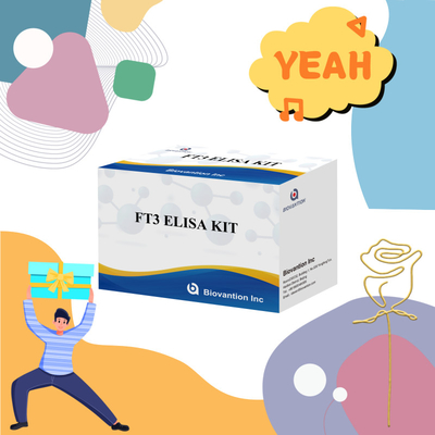 FT3 Free Triiodothyronine For Human Diagnostic Reagent Kits With 96T ELISA Test For Clinic Hospital Lab