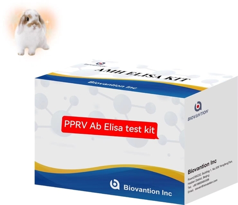 Peste Des Petits Ruminants PPRV Ab ELISA Kit Veterinary Test Kit