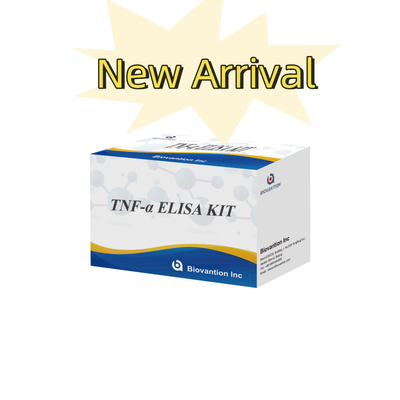 TNF-α RUO Elisa Test For Serum Plasma Accurate and convenient diagnostic solution for research