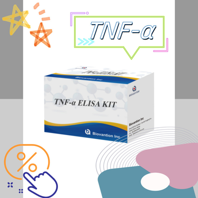 TNF-α RUO Elisa Test For Serum Plasma Accurate and convenient diagnostic solution for research