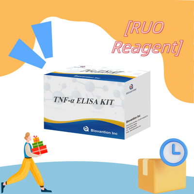 TNF-α RUO Elisa Test For Serum Plasma Accurate and convenient diagnostic solution for research
