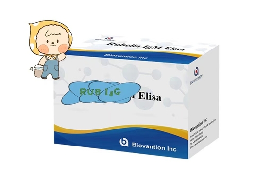 Rubella IgG ELisa Test Kit  Fertility Troch Pregnant Women Use