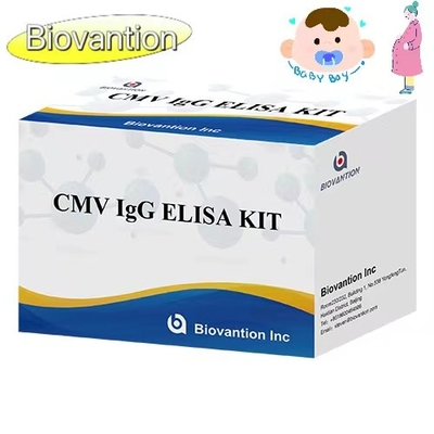 CMV IgG ELISA Kit Pregnant Women Preventive Test High Accuracy