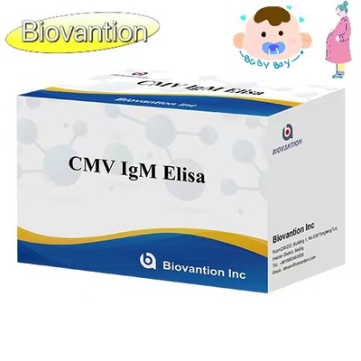 CMV IgM ELISA Kit High Accuracy Pregnant Women Preventive Test