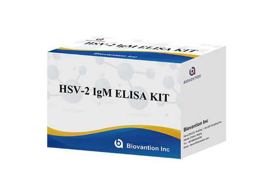 HSV 2 IgM Torch ELISA Test Kit High Accuracy Instructions For Use