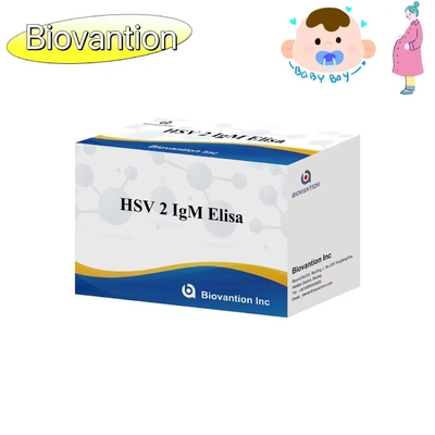 HSV 2 IgM Torch ELISA Test Kit High Accuracy Instructions For Use