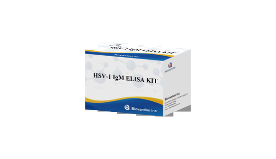 Torch ELISA Test Kit HSV 1 IgM High Hot Sale Diagnostic Reagent IVD