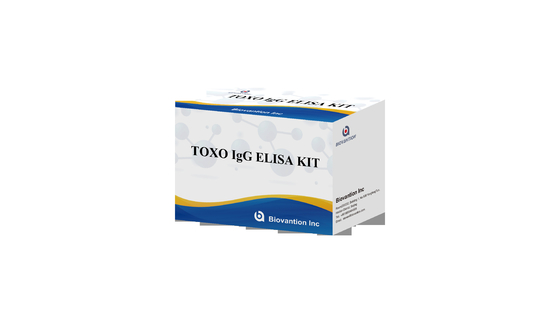 Torch High Sensitivity TOXO IgG ELISA Test Kit  Hospital Test Pregnancy Check