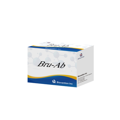 Bru Ab Precise ELISA Test Kit For Targeted Detection With CE ISO 13485