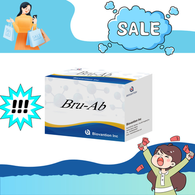 ELISA Animal Bru-Ab Elisa Reagent With 192t For Pigs Goats Cattle And Sheep