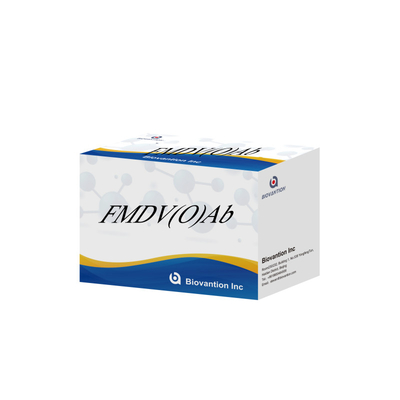 Bovine Foot And Month Disease Virus O Antibody Rapid Test Kit FMD FMDV Devastating Livestock Disease Detection