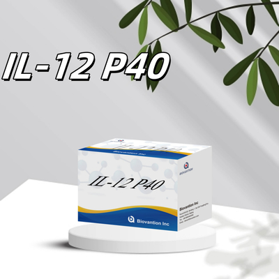 96 T Serum 98% Specificity ELISA RUO Test Kit Human IL-12 P40