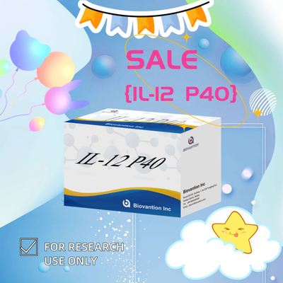 96 T Serum 98% Specificity ELISA RUO Test Kit Human IL-12 P40