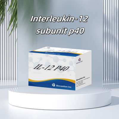 96 T Serum 98% Specificity ELISA RUO Test Kit Human IL-12 P40