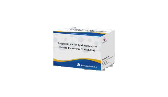 Diagnostic Kit For Human Parvovirus B19 IgG elisa test kit Antibody For Serum Samples