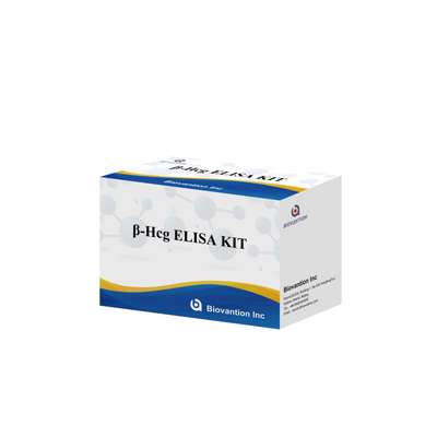 β-hCG(Quantitative) 1 Hour Elisa Test Kit For Antibody Sensitivity And Specificity