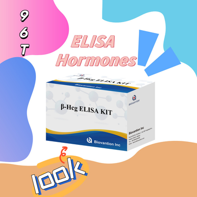 β-hCG(Quantitative) 1 Hour Elisa Test Kit For Antibody Sensitivity And Specificity