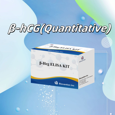 β-hCG(Quantitative) 1 Hour Elisa Test Kit For Antibody Sensitivity And Specificity