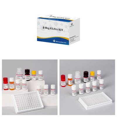 β-hCG(Quantitative) 1 Hour Elisa Test Kit For Antibody Sensitivity And Specificity