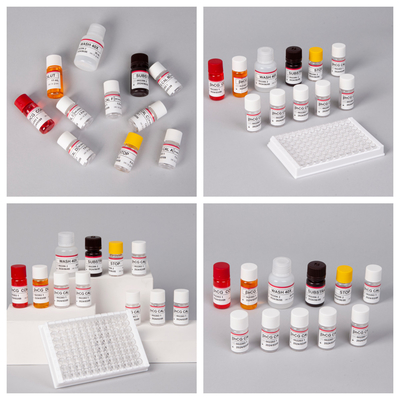 β-hCG(Quantitative) 1 Hour Elisa Test Kit For Antibody Sensitivity And Specificity