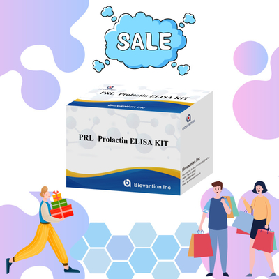 PRL Quantitative Human Hormones Diagnostic Detect Reagent Kit