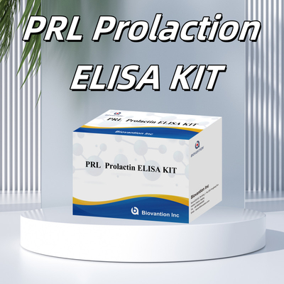 PRL Quantitative Human Hormones Diagnostic Detect Reagent Kit