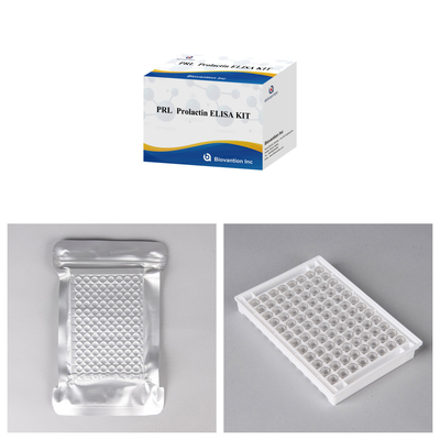 Sensitivity And Specificity IVD Elisa Test Serum Sample Enzyme Linked Immunosorbent Assay Test Kit
