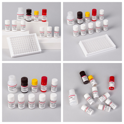 18-Month Shelf Life Sensitivity FSH (Quantitative)ELISA Kit for Antigens Antibodies Detection