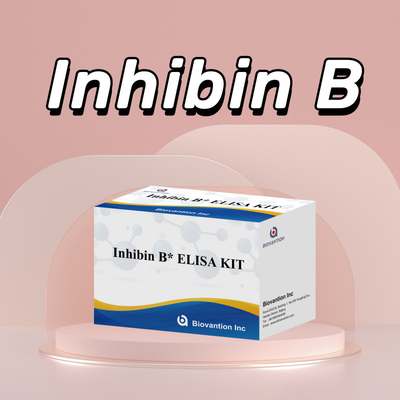 Biovantion  Inhibin B Elisa Test Kit for human diagnosis with 96T