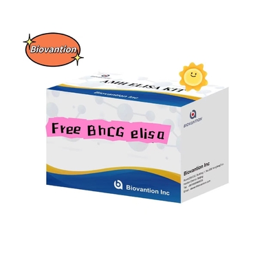 Free BhCG Elisa Test Kit Serum Storage 2-8.C Eighteen Mouth Shelf Life