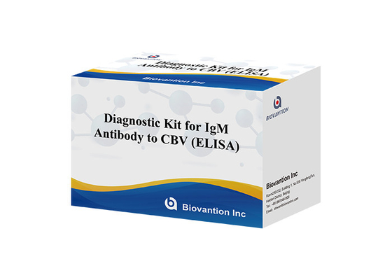 Diagnostic Kit For IgM Antibody To CBV Elisa Test Kit 50μL Serum Medical Diagnosis