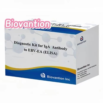 EBV-EA Elisa Test Kit Diagnostic Kit For IgA  Antibody High Accuracy