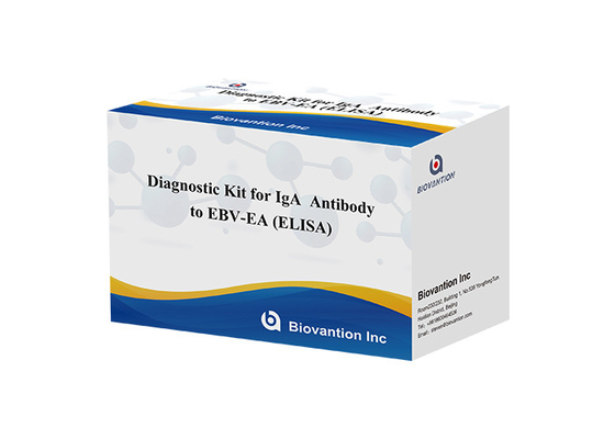 EBV-EA Elisa Test Kit Diagnostic Kit For IgA  Antibody High Accuracy