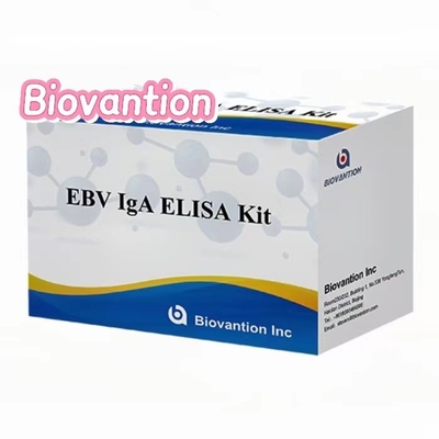 IgA  Antibody  To EBNA1 Elisa Test Kit Serum 50μL Specimen Kit Format
