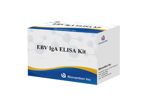 IgA  Antibody  To EBNA1 Elisa Test Kit Serum 50μL Specimen Kit Format