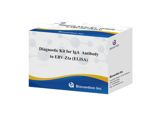 Diagnostic Kit For IgA  Antibody  To EBV-Zta ELISA TEST KIT Immunosorbent Assay Test Kit