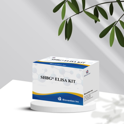 Biovantion SHBG Test Sensitive Elisa Test Kit