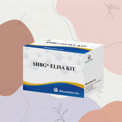 Biovantion SHBG Test Sensitive Elisa Test Kit