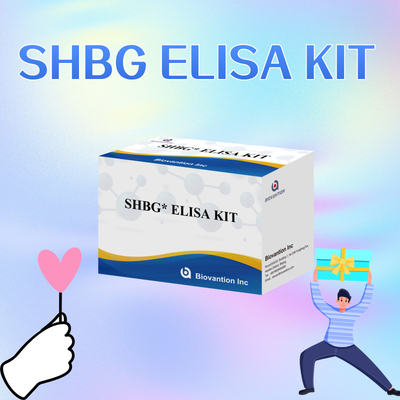 Biovantion SHBG Test Sensitive Elisa Test Kit