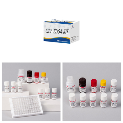 CE Approval Human Use CEA Quantitative Elisa Test Kit Blood Or Serum Test 96T