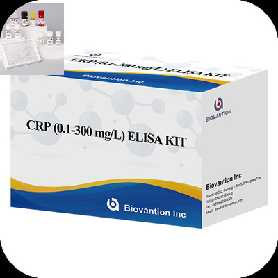CRP 0.1-300 Mg/L Specificity Elisa Test Kit With Rapid 1-Hour Assay Time