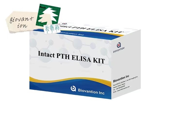 Intact PTH 96 Measurement ELISA Test Kit For Plasma Samples With 1 Hour Assay Time