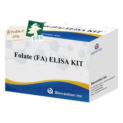 Folate FA Medical Diagnosis Immunoassay Test Kit With High Sensitivity And Specificity