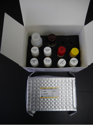 AMH ELISA Test Kit 3 Hours 18 Months Shelf Life With CE ISO13485