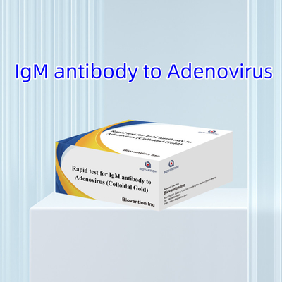 Accurate IgM Antibody To Adeno Virus Test Kit For Clinical And Laboratory Cassette Strip