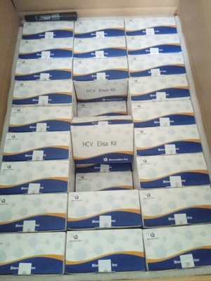 HCV ELISA TEST Kit Boold SPECIMEN WITHOUT CROSS REACTIVITY FOR PRECISE TESTING