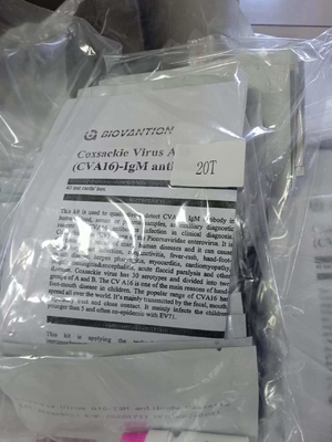 Coxsackie Virus A16 CVA16-IgM Antibody Cassette Rapid Test Serum Rapid Tets Professional