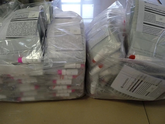Coxsackie Virus A16 CVA16-IgM Antibody Cassette Rapid Test Serum Rapid Tets Professional