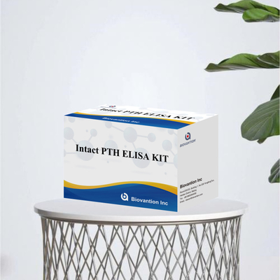 Detection Kit for Intact PTH for human detect reagent for human Serum Plasma